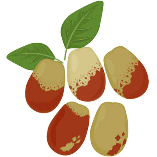 متن جایگزین تصویر