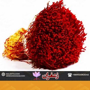 زعفران-دسته-دخترپیچ-سالکتو