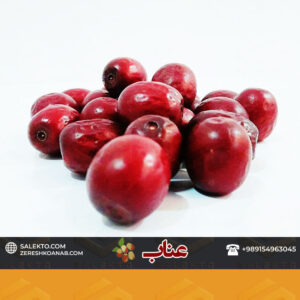 salekto-product-jujube-3