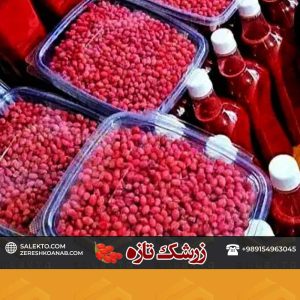 زرشک-تازه-دان-شده