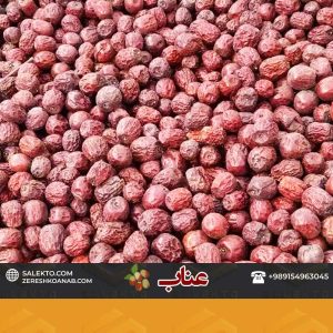 عناب-دارویی-ریز