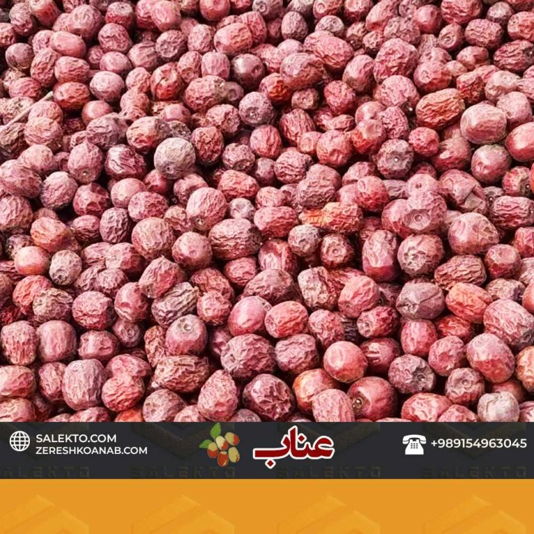 عناب-دارویی-ریز