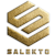 salekto logo